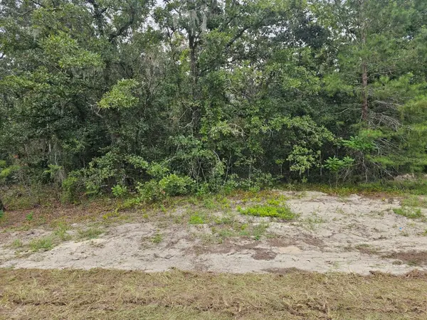 TBA SE 56TH CT., Ocala, FL 34473