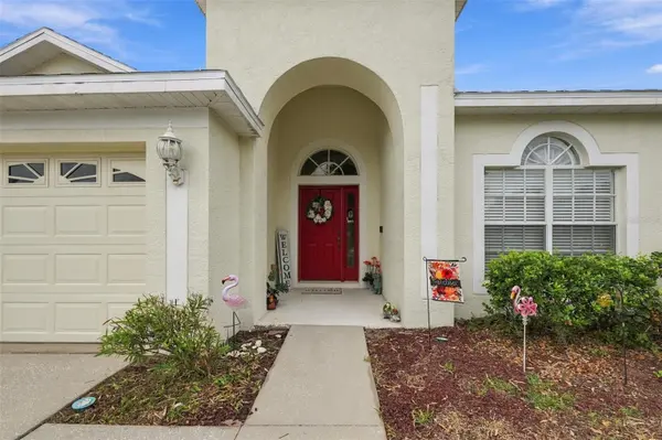 10915 AUSTRALIAN PINE DR, Riverview, FL 33579