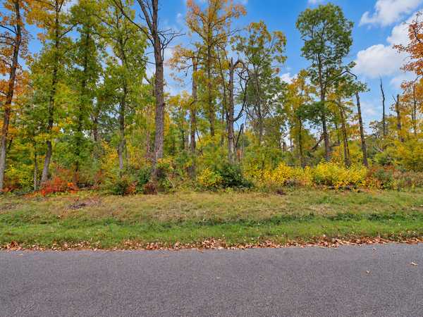 TBD Timber LN, Pequot Lakes, MN 56472