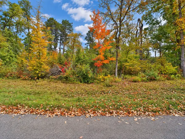 TBD Timber LN, Pequot Lakes, MN 56472