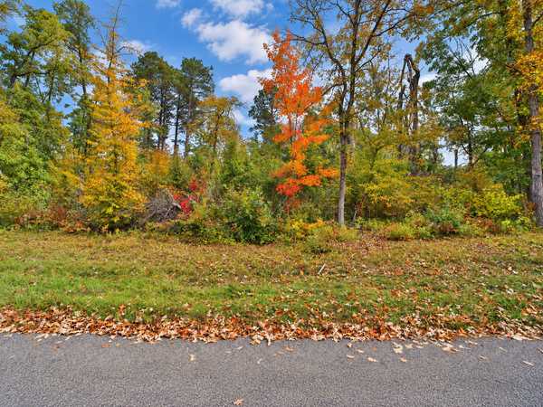TBD Timber LN, Pequot Lakes, MN 56472