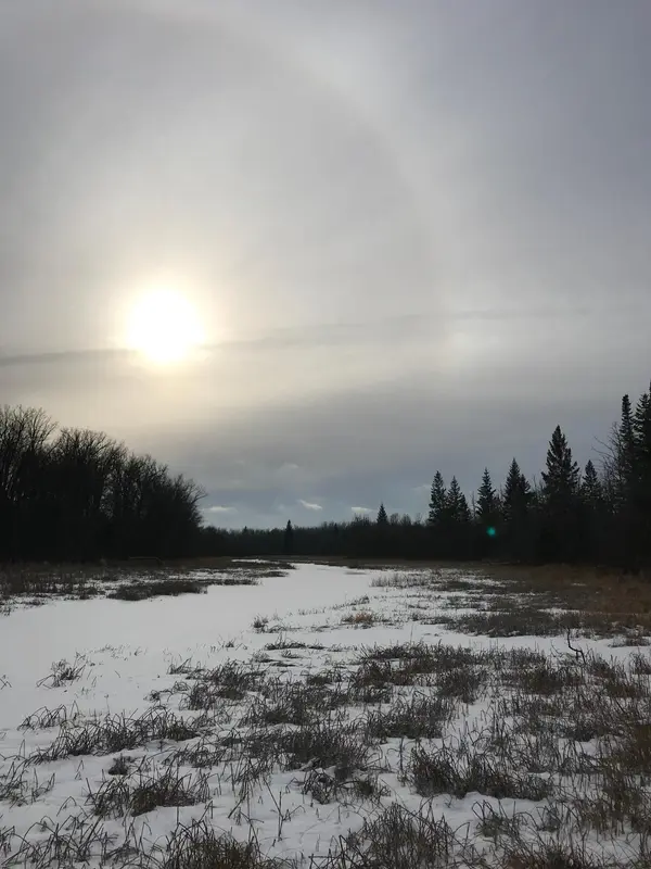 10498 County Road 30, Big Falls, MN 56627