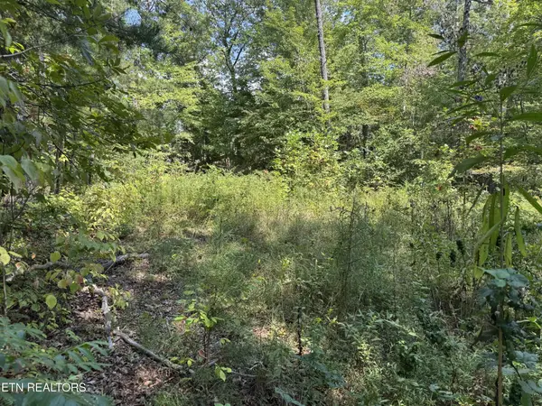 0 Cliffmont, Jamestown, TN 38556