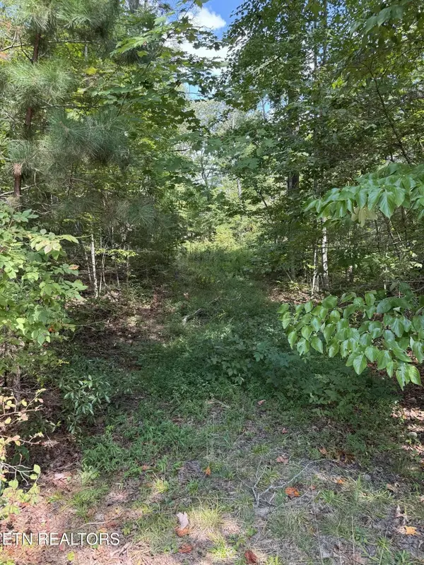 0 Cliffmont, Jamestown, TN 38556