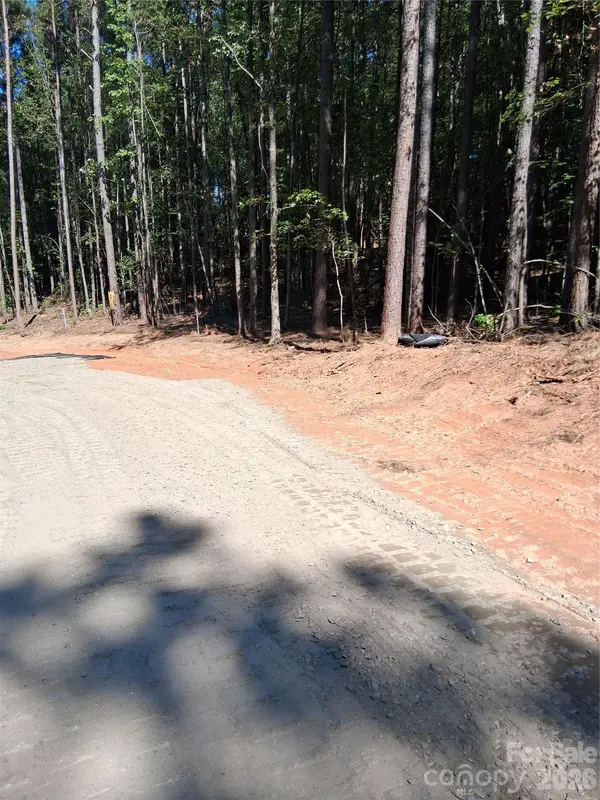 66 Vein Mountain RD #9, Dysartsville, NC 28761