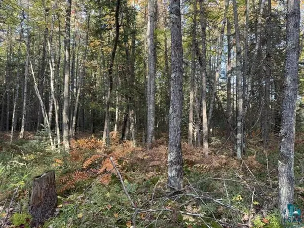 XXX Brule River Rd, Brule, WI 54820