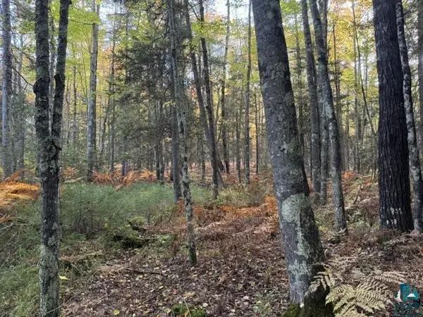 XXX Brule River Rd, Brule, WI 54820
