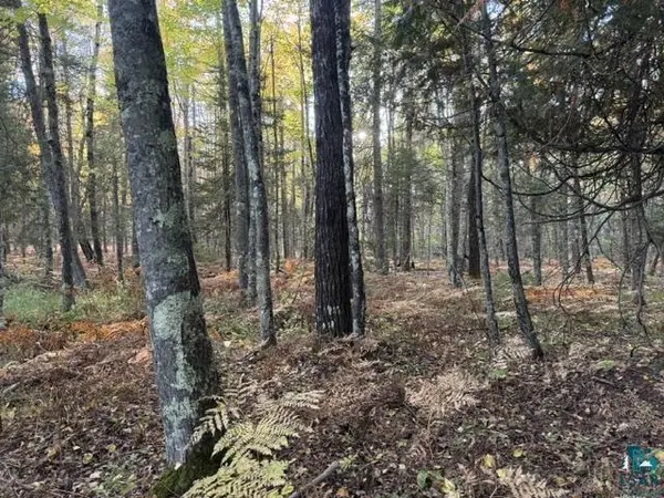 XXX Brule River Rd, Brule, WI 54820