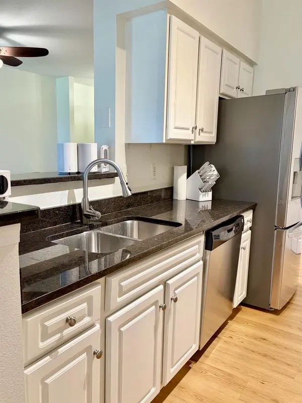 1810 E PALM AVE #5202, Tampa, FL 33605