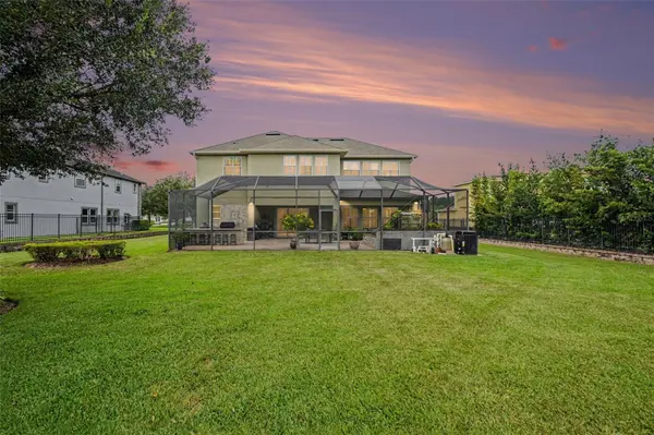 17815 DAISY FARM DR, Lutz, FL 33559