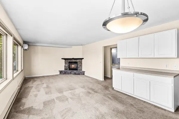 1424 E Skyline Pkwy, Duluth, MN 55805