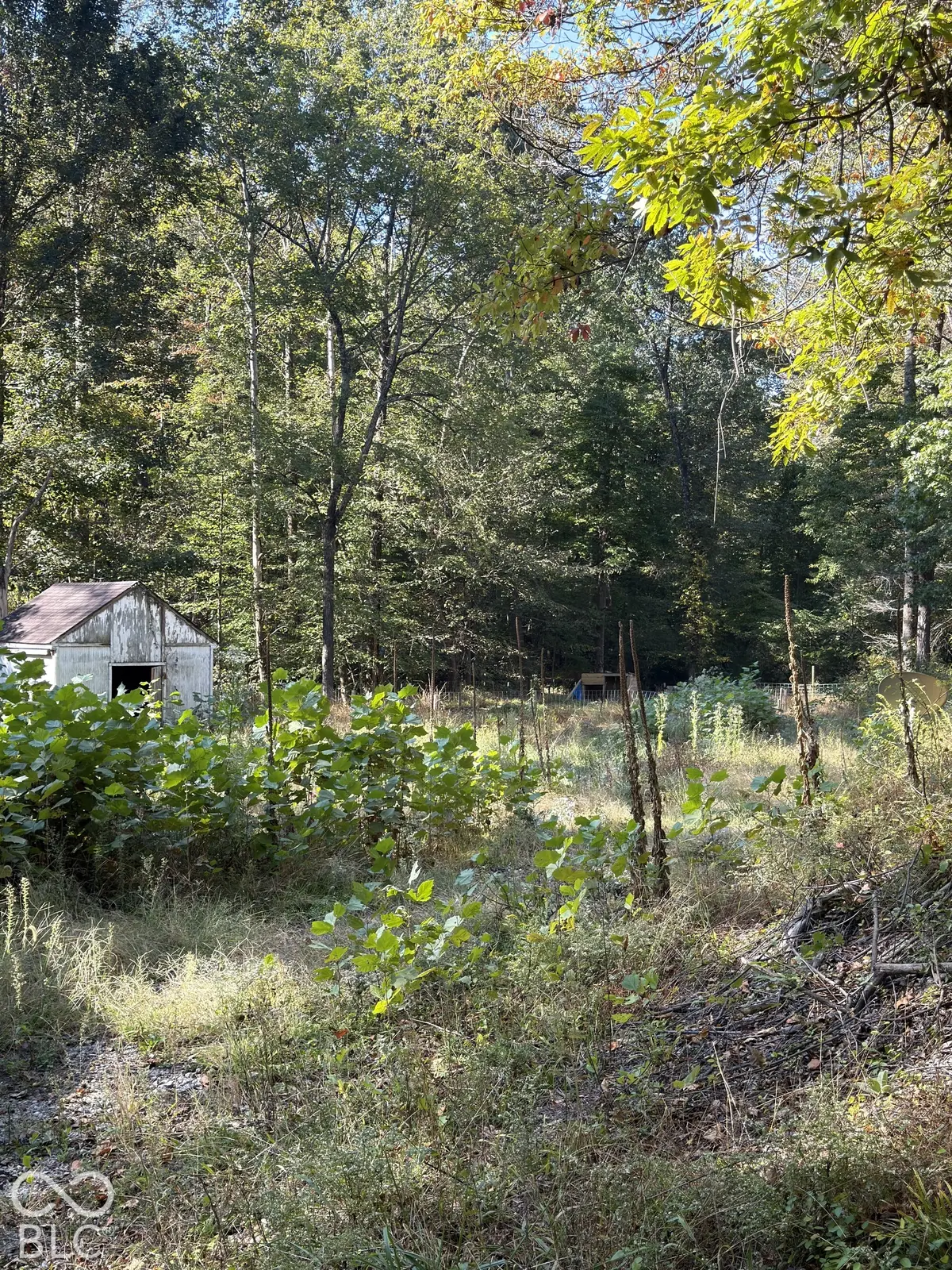 8942 Bean Blossom RD, Trafalgar, IN 46181