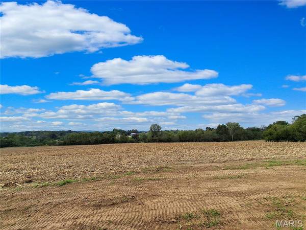 0 Highway B (Tract B - 17+/- Acres), Elsberry, MO 63343