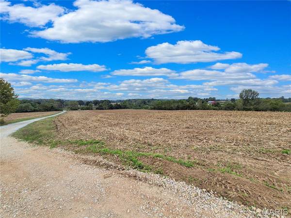 0 Highway B (Tract B - 17+/- Acres), Elsberry, MO 63343