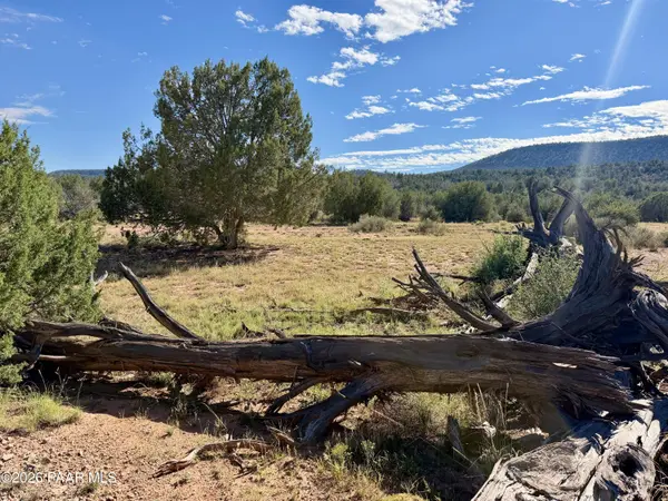 494se N Nirvana WAY, Ash Fork, AZ 86320