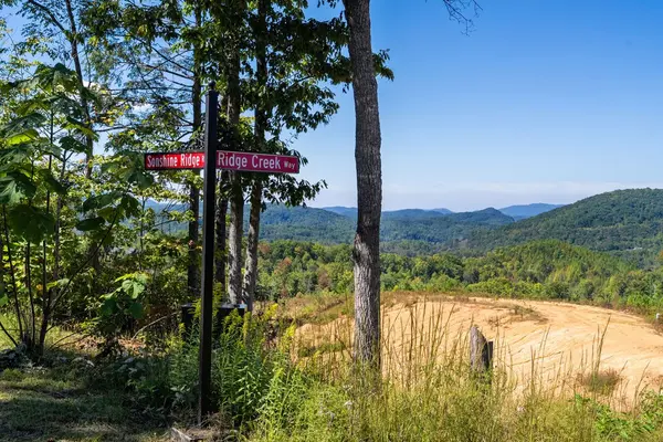 433 Ridge Creek Way, Cosby, TN 37722
