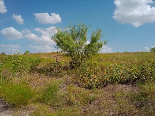 101 Scotty LN, Liberty Hill, TX 78642