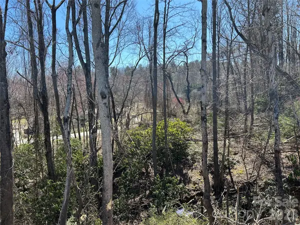 0 US 64 HWY, Hendersonville, NC 28792