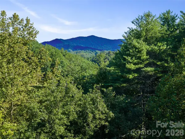 TBD Fog Hollow DR, Green Mountain, NC 28740