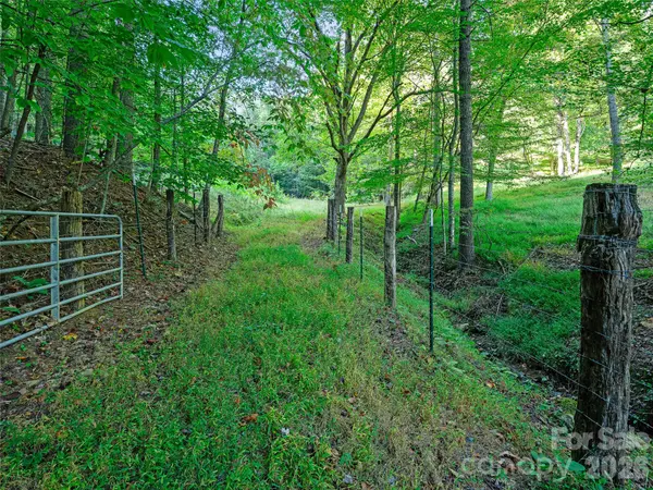 TBD Fog Hollow DR, Green Mountain, NC 28740