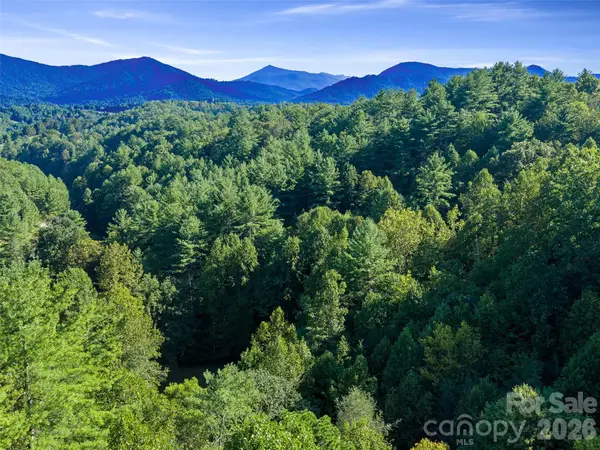 TBD Fog Hollow DR, Green Mountain, NC 28740