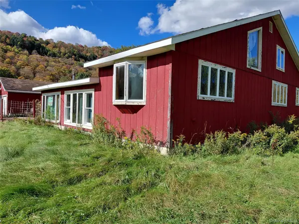 26 Butcher RD, Roscoe, NY 12776