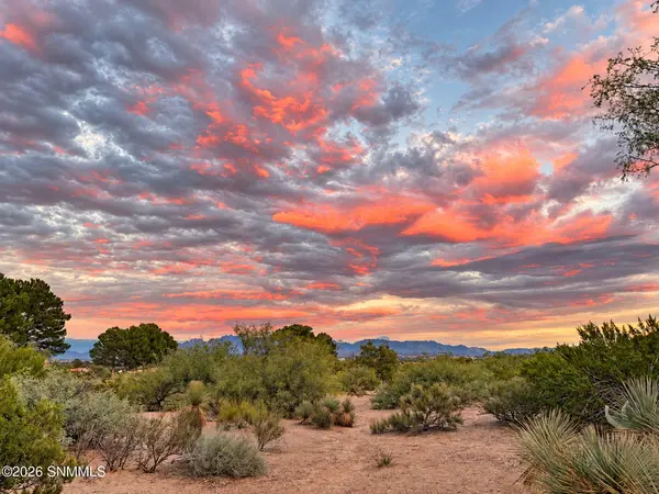10060 San Marcos CT, Las Cruces, NM 88007