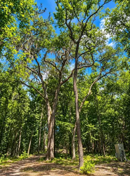 SNOW MEMORIAL, Brooksville, FL 34601