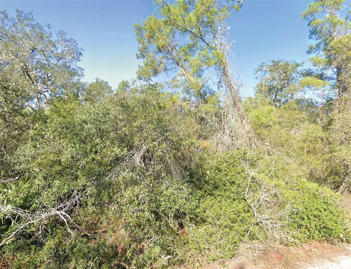 FISHER TRL, Ocklawaha, FL 32179
