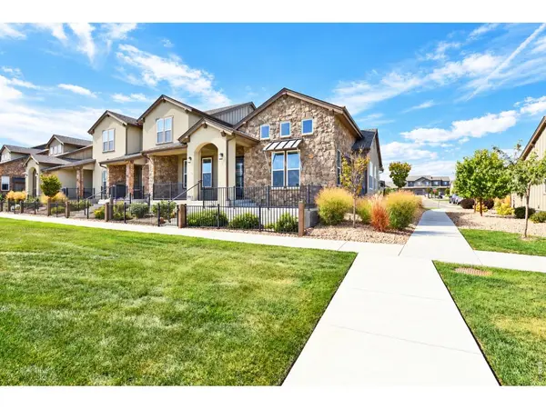 6241 Vernazza #1, Windsor, CO 80550
