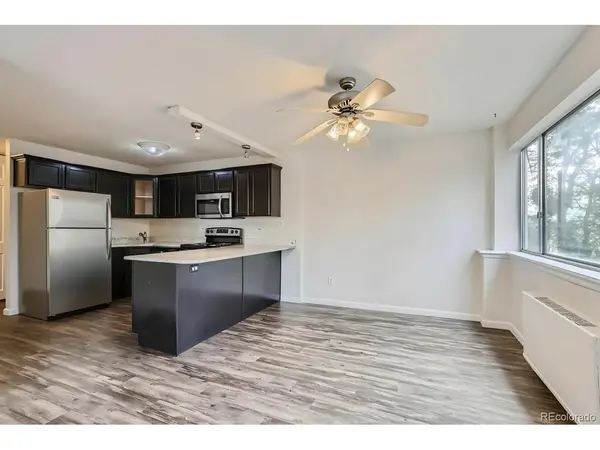 909 N Logan #4A, Denver, CO 80203