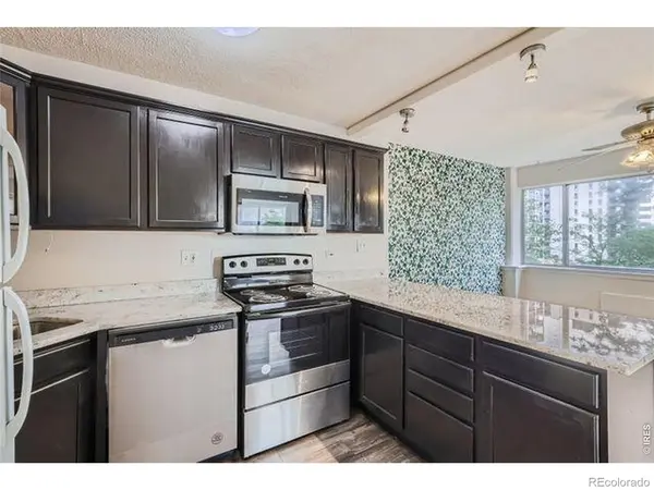 909 N Logan #4A, Denver, CO 80203