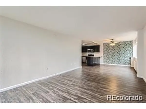 909 N Logan #4A, Denver, CO 80203