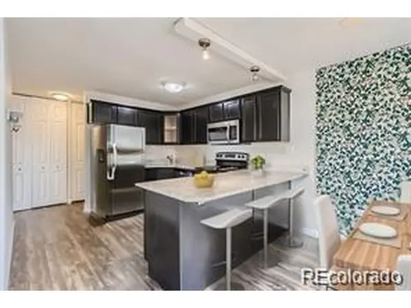 909 N Logan #4A, Denver, CO 80203