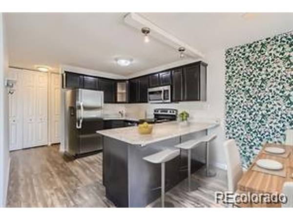 909 N Logan #4A, Denver, CO 80203