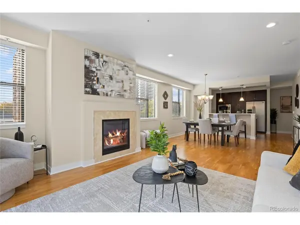 360 S Lafayette #306, Denver, CO 80209