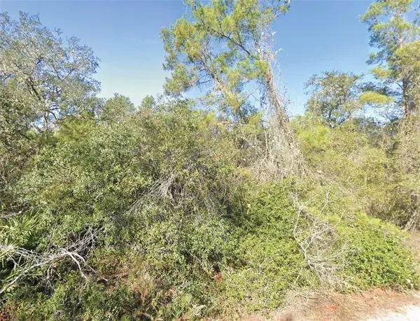 FISHER TRL, Ocklawaha, FL 32179