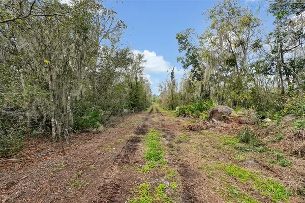3381 LAKE BUFFUM RD E, Fort Meade, FL 33841
