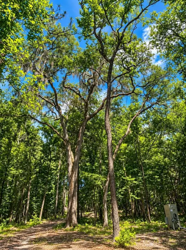 SNOW MEMORIAL, Brooksville, FL 34601