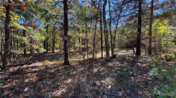 2169 Madison 518, Ironton, MO 63650