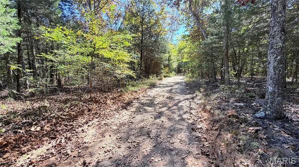 2169 Madison 518, Ironton, MO 63650
