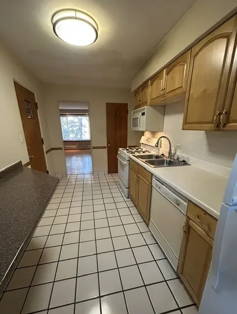 1531 Bonnie Brae PL #7, River Forest, IL 60305
