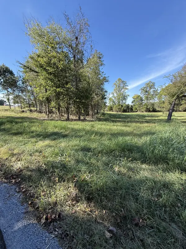 0 Bessie Clark Rd, Erin, TN 37061