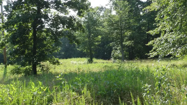 580 Pleasant Cemetery Lane, Gainesboro, TN 38562