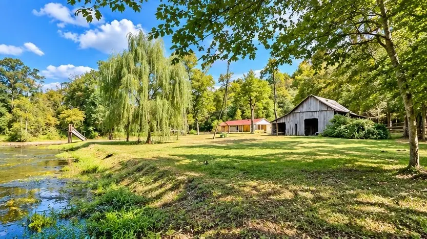 285 Spring Creek Rd, Westpoint, TN 38486