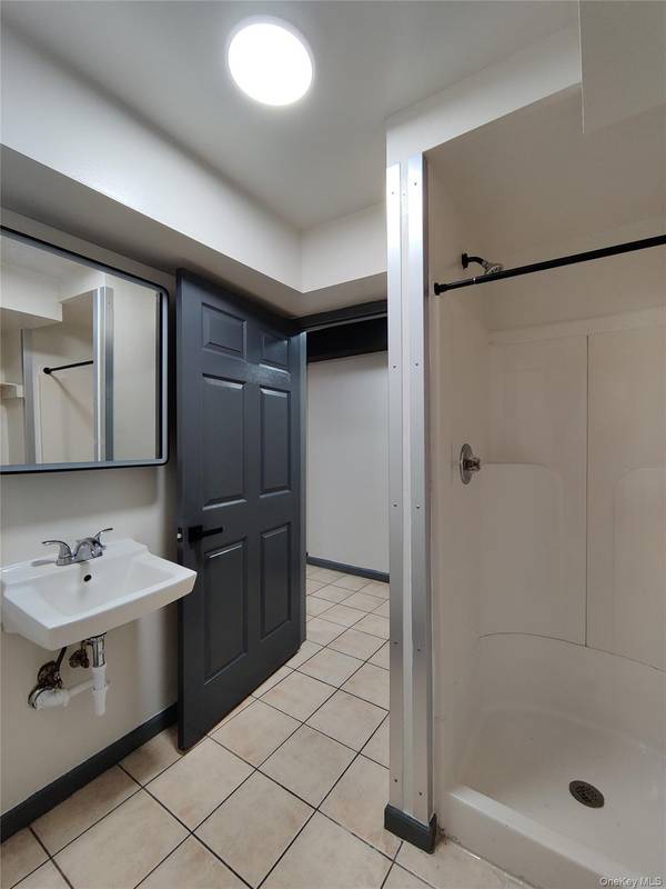 219 MILL ST #5, Poughkeepsie, NY 12601
