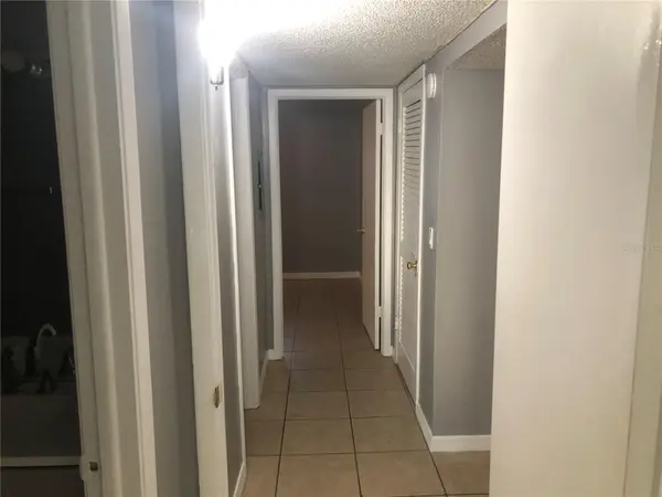 14415 AMERICANA CIR #205, Tampa, FL 33613