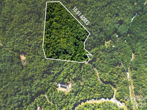Lot 11 Silver Maple TRL, Brevard, NC 28712