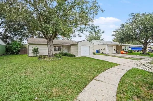 13904 FULLERTON DR, Tampa, FL 33625