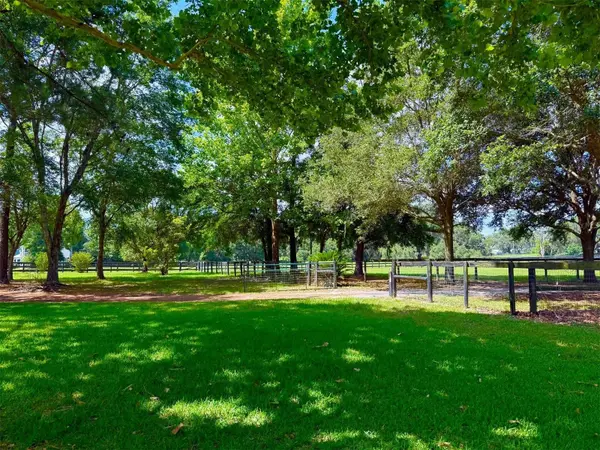 8585 NW 162ND CT, Morriston, FL 32668